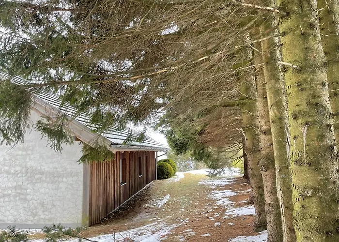 Teichalm * فلادنيتز أن دير تايشالم